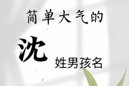 让人过目不忘的名字推荐