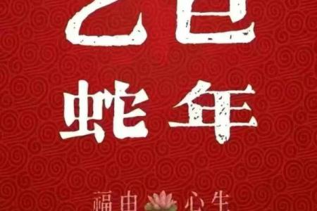 属蛇人财运与感情运势全解析