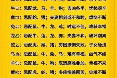 鸡马搭配是否合适的深度解析