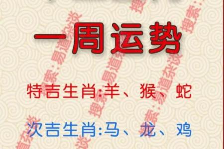 出生属相运势解析