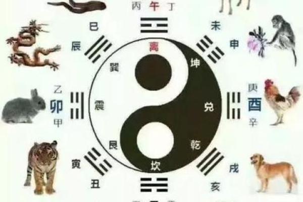 龙狗组合：生肖配对中的相互扶持与成长