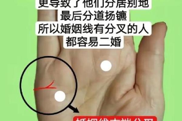 揭秘双妻命格：命理中的特殊婚姻配置