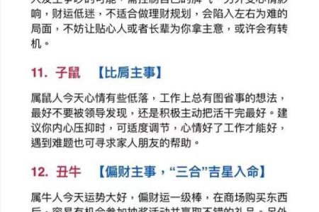 解读东四命对事业与家庭的影响