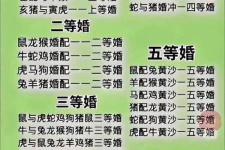 龙狗组合：生肖配对中的相互扶持与成长