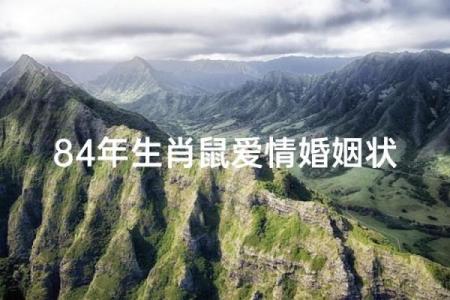 属鼠人的感情运势与婚姻发展
