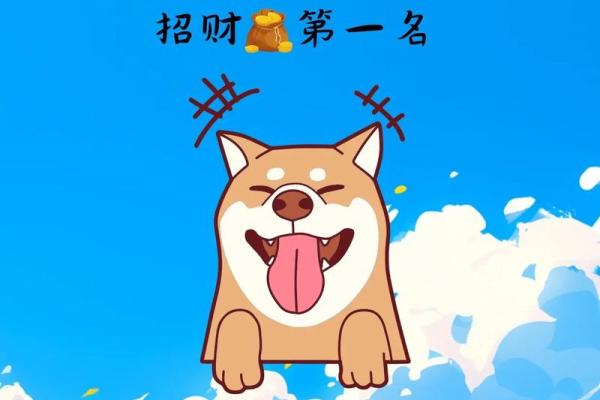 属狗人的今日运程：工作与财运需谨慎