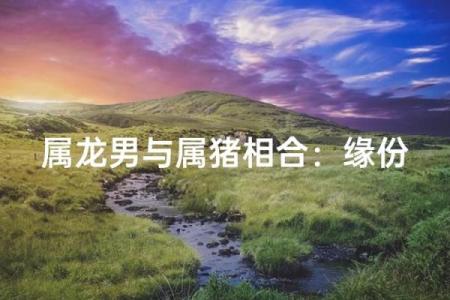 属龙与属猪的性格差异与婚姻配对分析