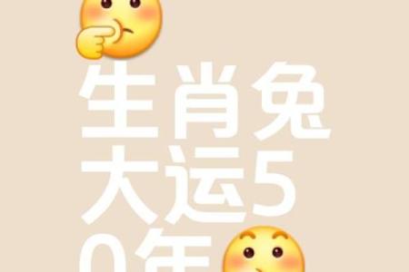本命年兔男如何保持良好的财运
