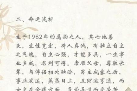 属狗人命运如何？一生运程深度剖析