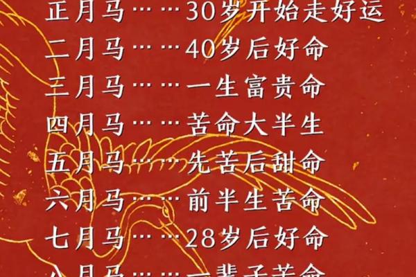 属马人在本命年如何提升自信心