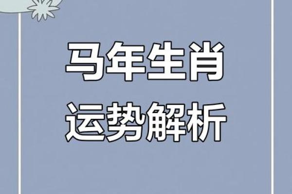 属马人在本命年如何提升自信心