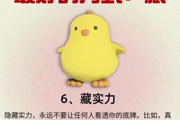 揭开臧八字的神秘面纱，命运如何从出生时就注定？