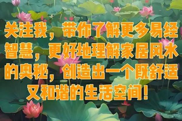 如何通过风水论坛提升居住环境的和谐