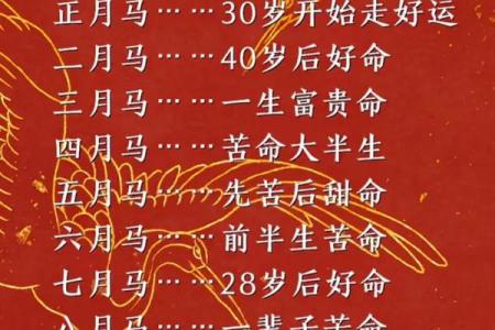 属马人在本命年如何提升自信心