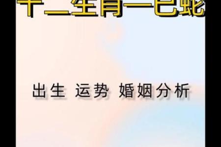 蛇人今天的运势如何？精确预测财务与人际关系
