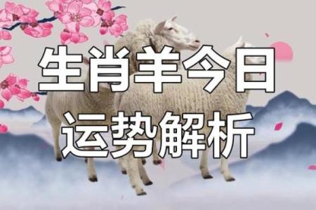 羊男本命年能否迎来事业上的突破