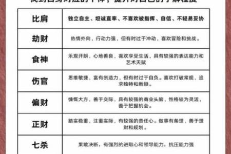解析女命胜男命的文化背景与命运解读