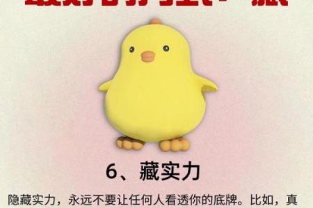 揭开臧八字的神秘面纱，命运如何从出生时就注定？