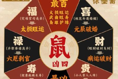 本月鼠人运势指南，掌握幸运时机改变命运