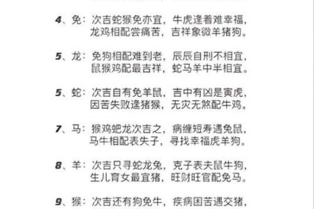 属猪人的最佳配对生肖有哪些