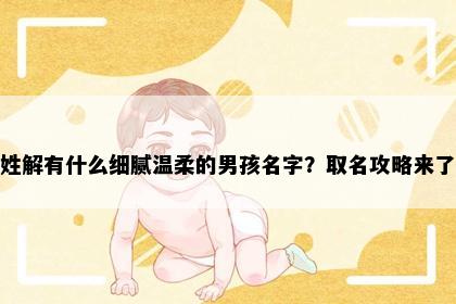 姓解有什么细腻温柔的男孩名字？取名攻略来了
